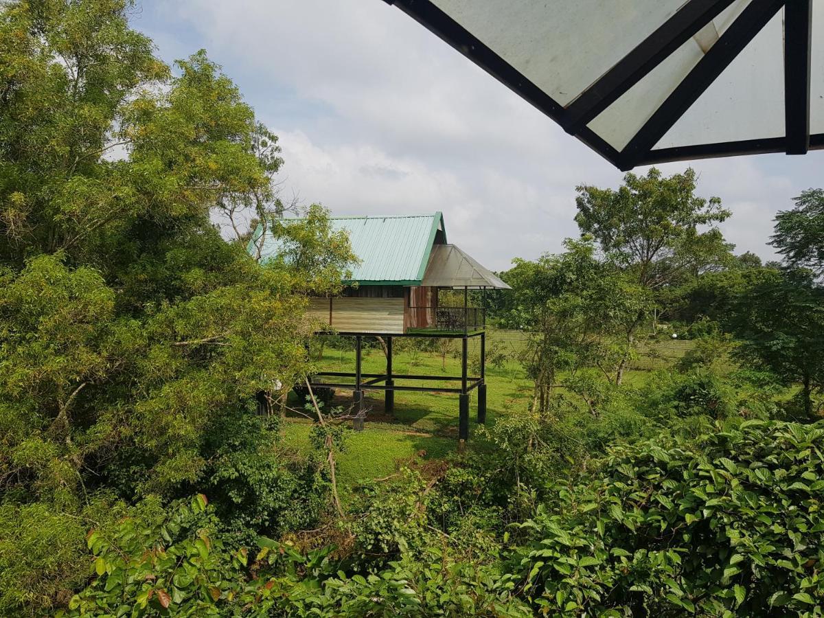Nice Place Resort Dambulla Kültér fotó