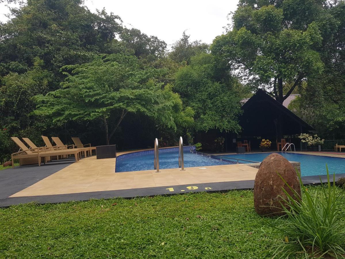 Nice Place Resort Dambulla Kültér fotó