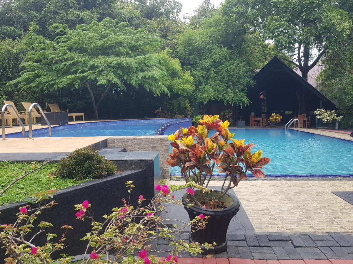 Nice Place Resort Dambulla Kültér fotó