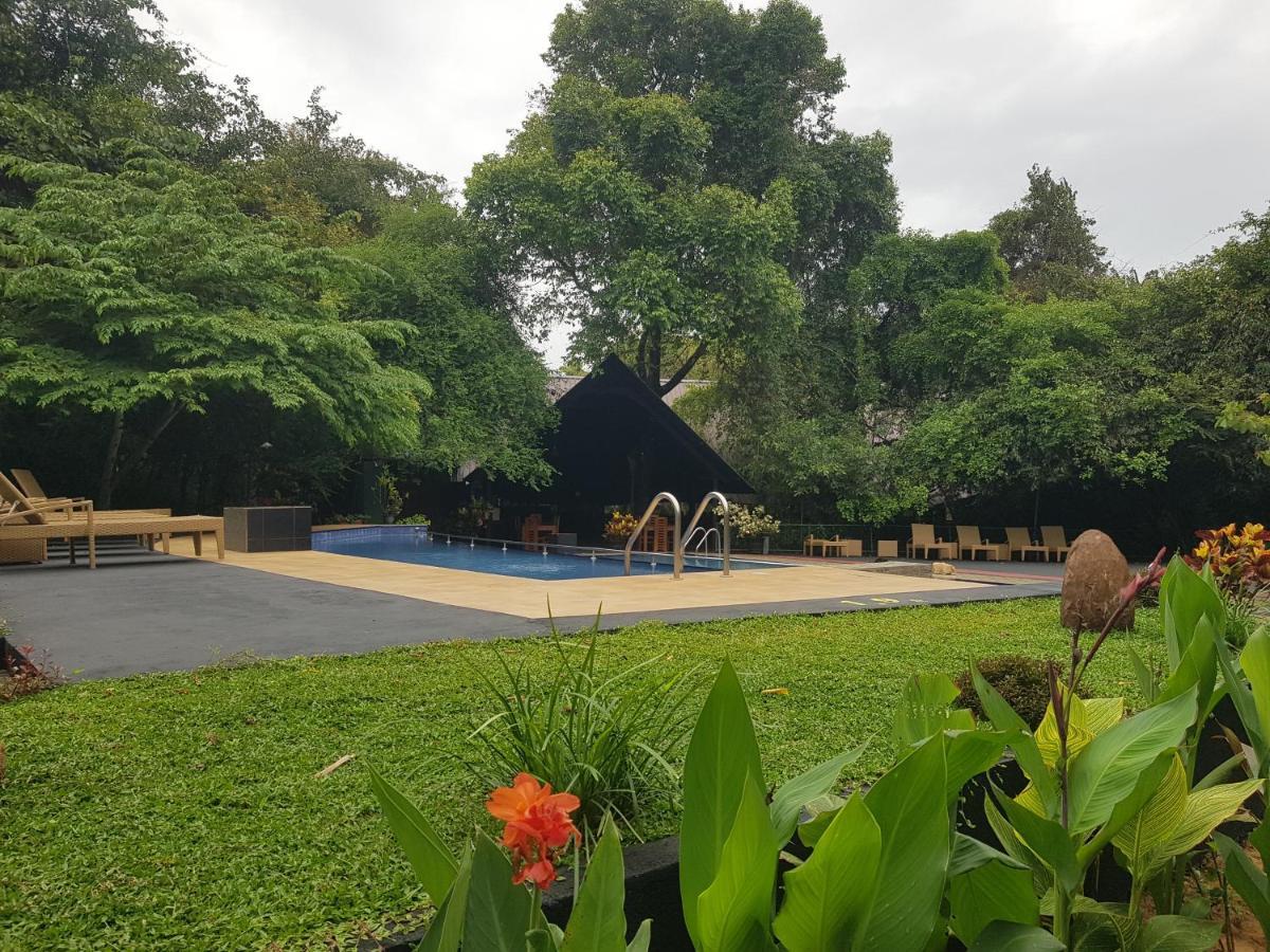 Nice Place Resort Dambulla Kültér fotó